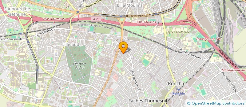 localisation de l'entreprise AU PECHE DES JEUNES à FACHES-THUMESNIL