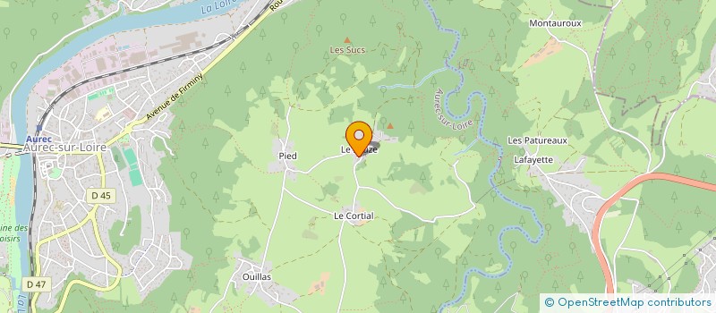 localisation de l'entreprise AU PETIT ENCAS 2  AUREC-SUR-LOIRE