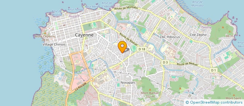 localisation de l'entreprise AU PETIT SOIN à CAYENNE