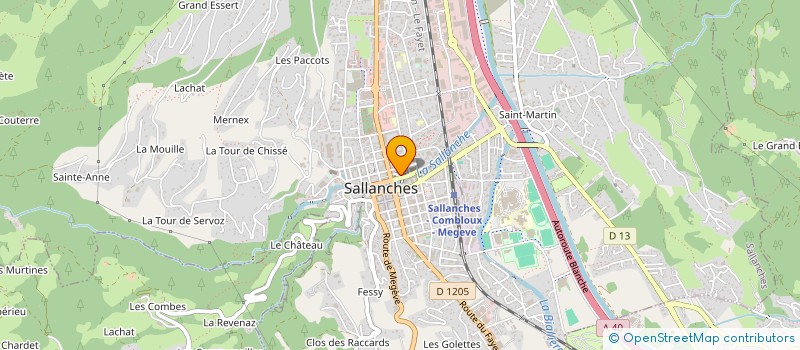 localisation de l'entreprise AU RATON LAVEUR à SALLANCHES