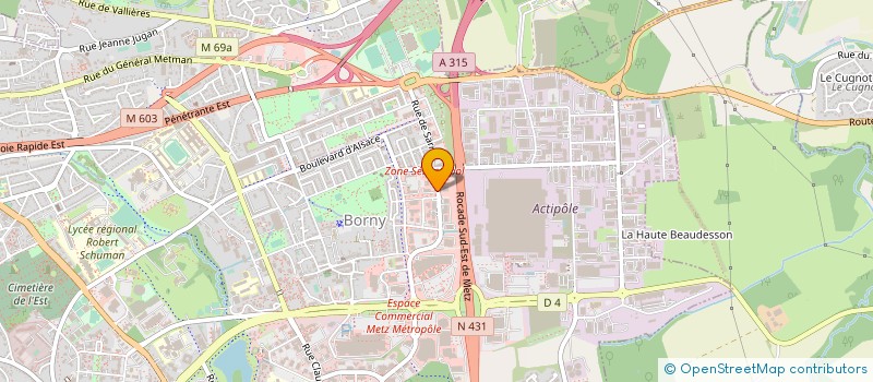 localisation de l'entreprise AU SERVICE DE LA MAIN VERTE  METZ