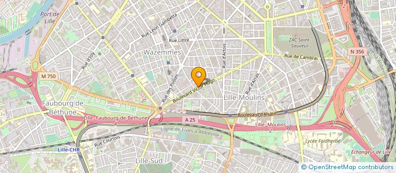 localisation de l'entreprise AU VIEUX HOLLANDE à LILLE