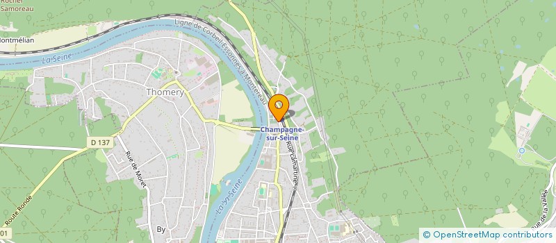 localisation de l'entreprise AUBERGE DE L EUROPE  CHAMPAGNE-SUR-SEINE