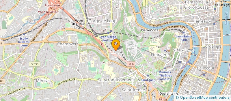 localisation de l'entreprise AUBERGE DE L ILE à LYON