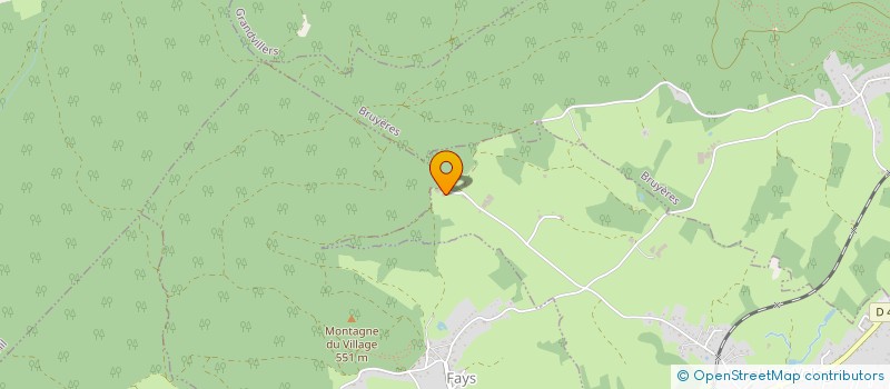 localisation de l'entreprise AUBERGE DE LA FAITE  LAVAL-SUR-VOLOGNE