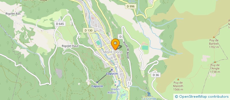 localisation de l'entreprise AUBERGE LA BUISSONNIERE  MONT-DORE