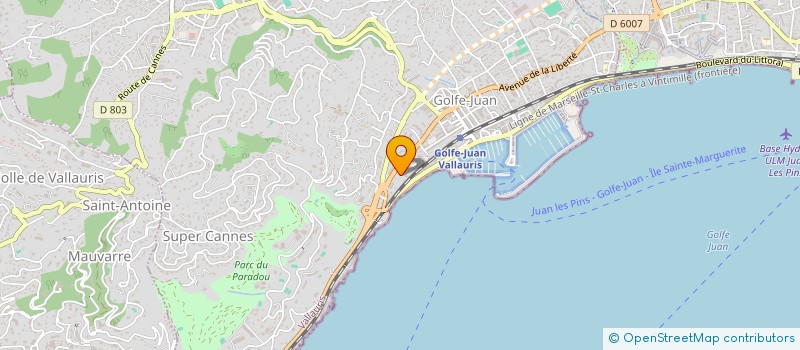localisation de l'entreprise AUDACE FLORALE à VALLAURIS