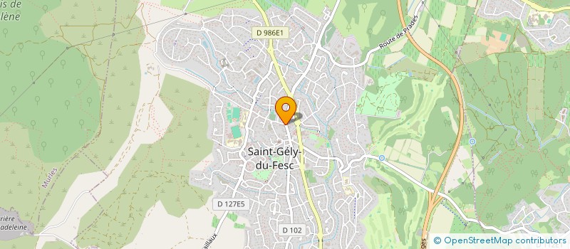 localisation de l'entreprise AUDIOPIC à SAINT-GELY-DU-FESC