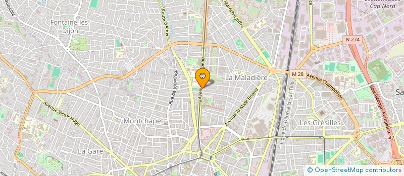 localisation de l'entreprise AUDIOVISION SERVICES à DIJON
