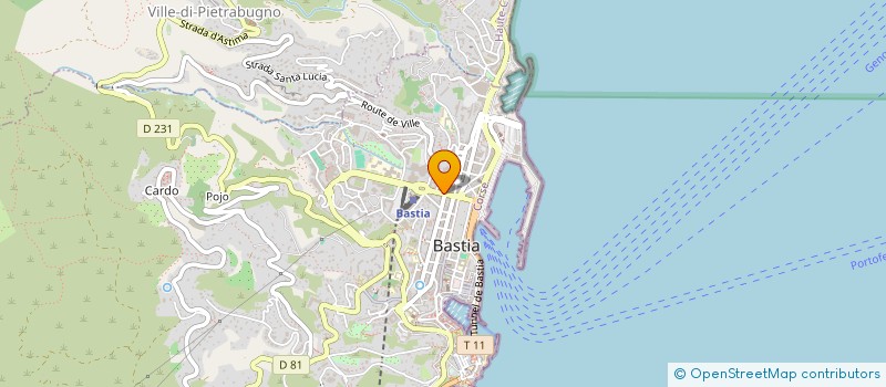 localisation de l'entreprise AUDIT COMPTABLE ORGANISATION à BASTIA