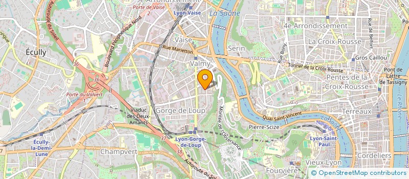 localisation de l'entreprise AUDREY LEVITE DESIGNER FLORAL  LYON