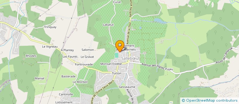 localisation de l'entreprise AURA INVEST GROUPE  SALLEBUF