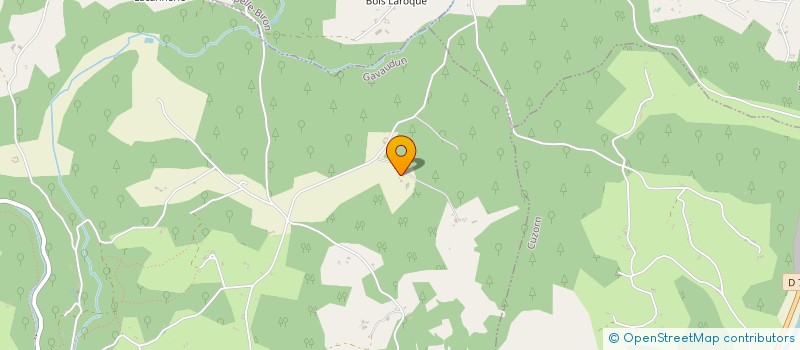 localisation de l'entreprise AUSTRUY FRERES  GAVAUDUN