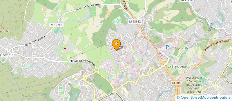 localisation de l'entreprise AUTO DS  GRABELS