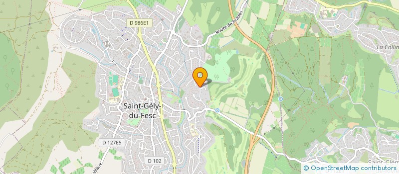 localisation de l'entreprise AUTO ECOLE DES ARCEAUX à SAINT-GELY-DU-FESC