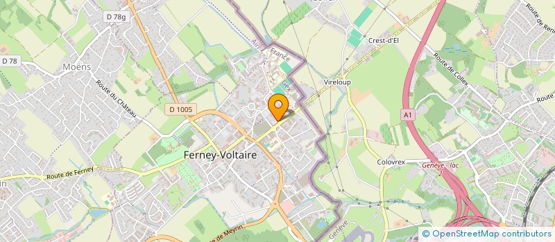localisation de l'entreprise AUTO ECOLE DU LEVANT à FERNEY-VOLTAIRE