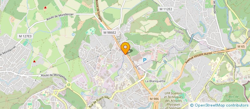 localisation de l'entreprise AUTO MOTORS 34 à MONTPELLIER