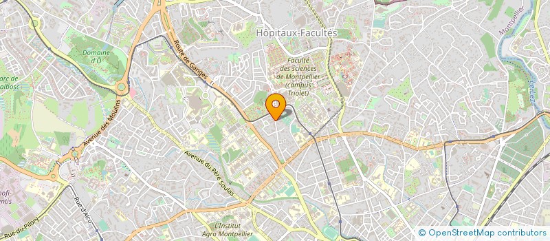 localisation de l'entreprise AUTO PNEUS DISTRIBUTION à MONTPELLIER