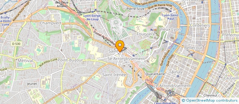localisation de l'entreprise AUTO SERVICE TRION à LYON