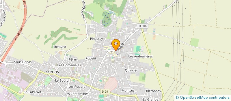 localisation de l'entreprise AUTO SERVICES RAPIDE  GENAS