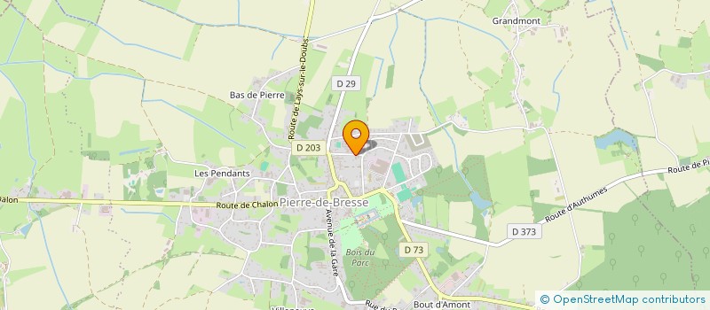 localisation de l'entreprise AUTOCONTROLE PIERRE  PIERRE-DE-BRESSE