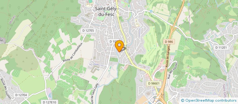 localisation de l'entreprise AUTOMOBILIERE MONTPELLIER  SAINT-GELY-DU-FESC