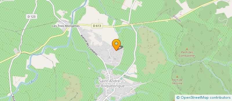 localisation de l'entreprise AUTONET  SAINT-ANDRE-DE-ROQUELONGUE