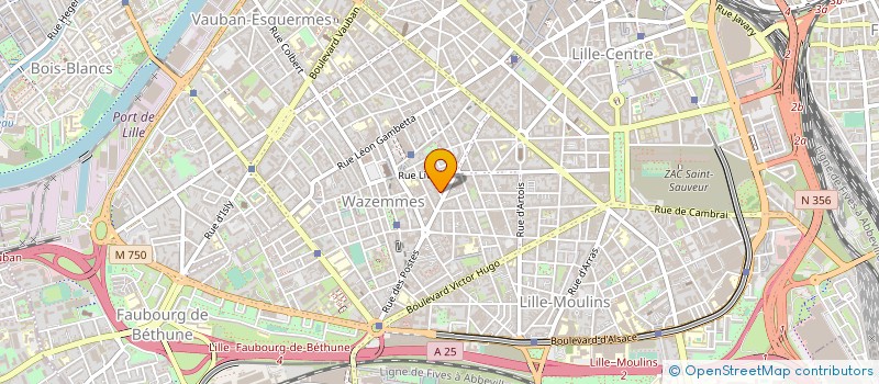 localisation de l'entreprise AUTOSERVICES à LILLE
