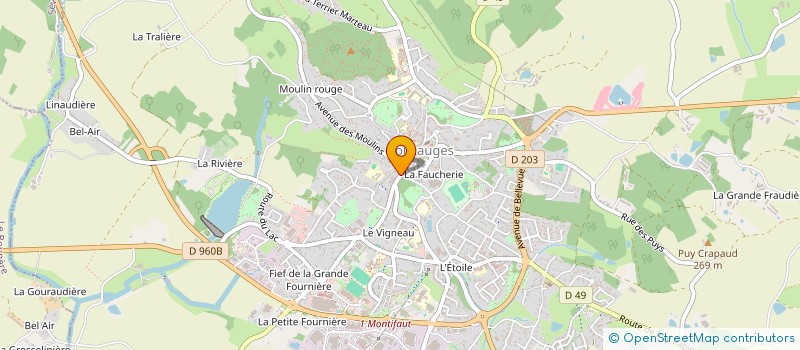 localisation de l'entreprise AUVINET DEFONTAINE  POUZAUGES