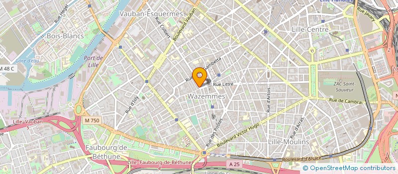 localisation de l'entreprise AUX BONNES EPICES à LILLE