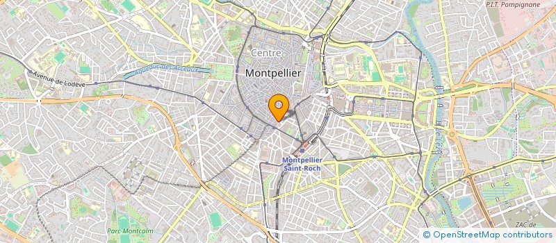 localisation de l'entreprise AUX DELICES DE LA MEDITERRANEE à MONTPELLIER