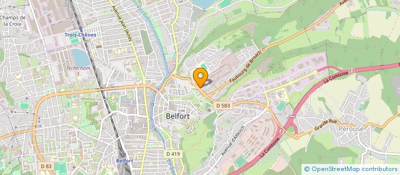 localisation de l'entreprise AUX DELICES DU LION à BELFORT