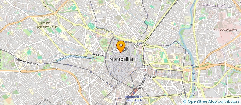 localisation de l'entreprise AUX DRAPEAUX à MONTPELLIER