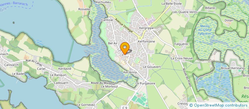 localisation de l'entreprise AUX FLEURS DU GOLFE à SENE
