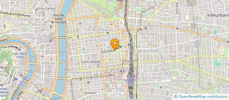 localisation de l'entreprise AUX PETITES MAINS à LYON
