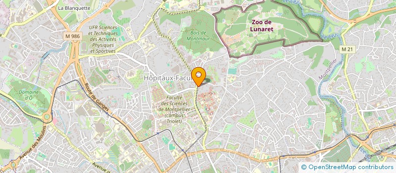 localisation de l'entreprise AUX PETITS PAINS DORES à MONTPELLIER