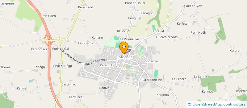 localisation de l'entreprise AUX PLANTES MAGIQUES  MOREAC