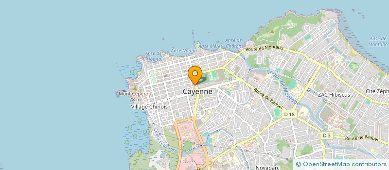 localisation de l'entreprise AUX PROFESSIONNELS GUYANAIS à CAYENNE