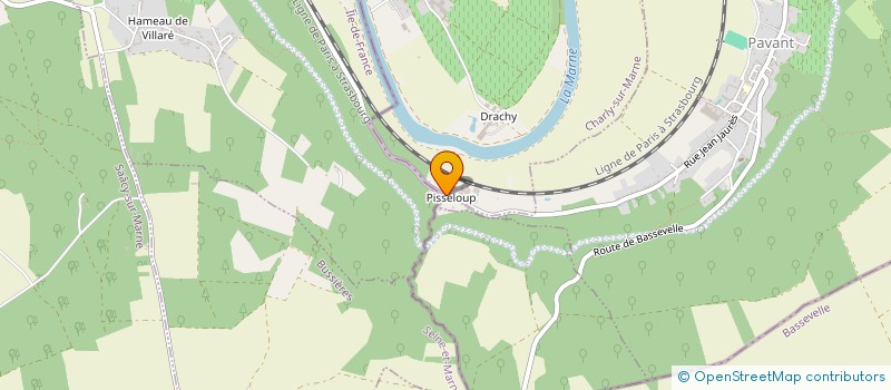 localisation de l'entreprise AUX SERRES DE PISSELOUP à CHARLY-SUR-MARNE