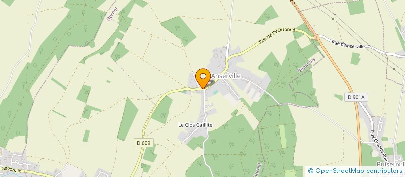 localisation de l'entreprise AUX TROIS FLEURS  BORNEL