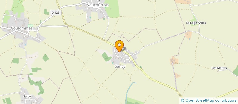 localisation de l'entreprise AV FOCH 12  SANCY