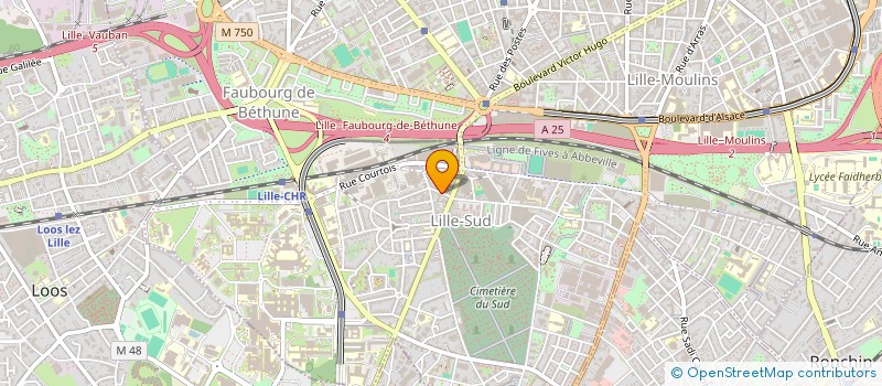 localisation de l'entreprise AVENIR ELEC à LILLE