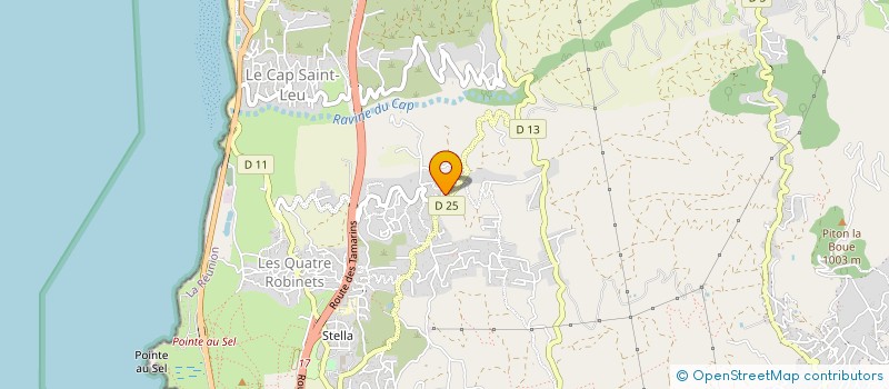 localisation de l'entreprise AVENIR FORMATION OCEAN INDIEN  SAINT-LEU