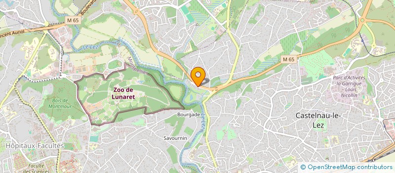 localisation de l'entreprise AVENIR RADIEUX  CASTELNAU-LE-LEZ