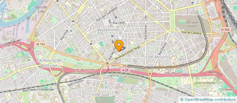 localisation de l'entreprise AVENUE AFRIQUE à LILLE