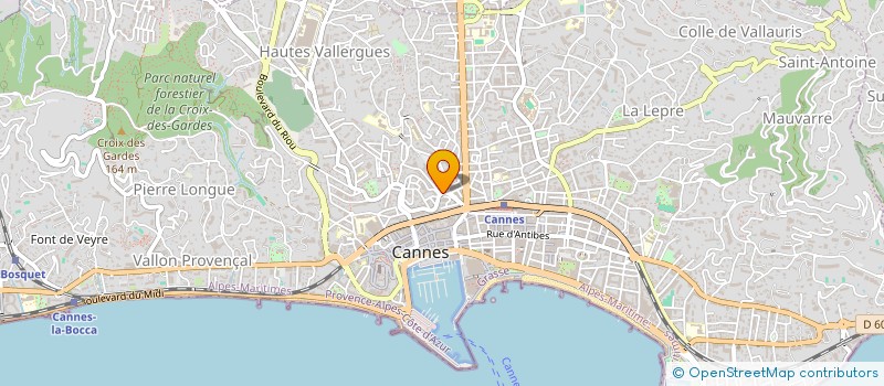 localisation de l'entreprise AVENUE DE GRASSE  CANNES