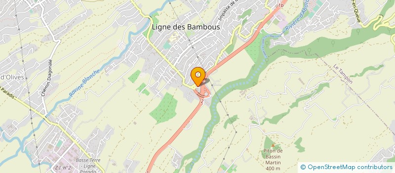 localisation de l'entreprise AVIRONS à SAINT-PIERRE