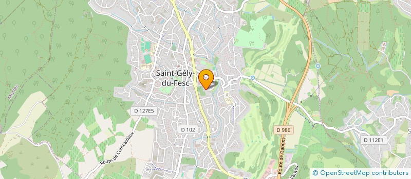 localisation de l'entreprise AVL  SAINT-GELY-DU-FESC