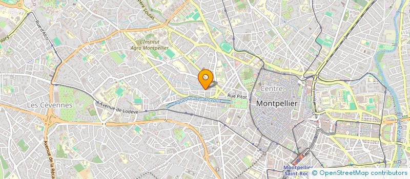 localisation de l'entreprise AVOCATS ET JURISTES SANS FRONTIERES à MONTPELLIER