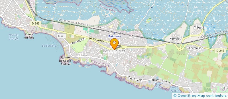 localisation de l'entreprise AVOCETTE  BATZ-SUR-MER